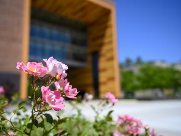 Flowers in bloom in front of University hall