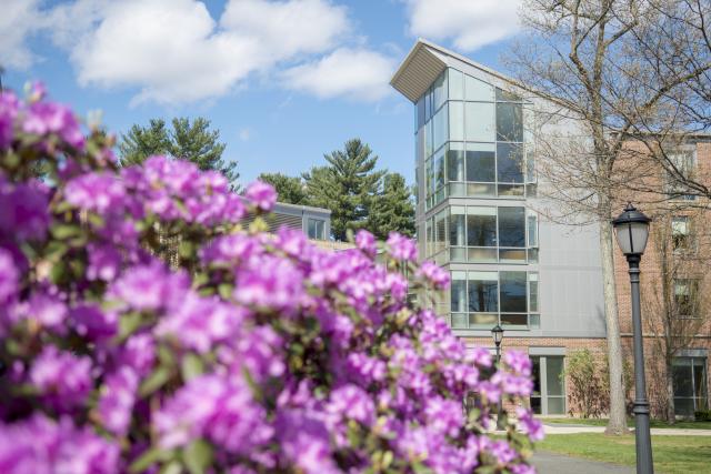 Flowers in bloom on the campus green with New Hall in the background