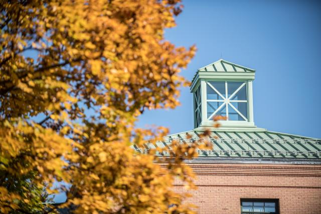 Maple leaves changing color with the Courtney Hall roofline in the background